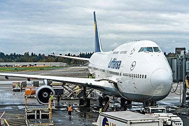 《SHOJING》Steam页面上线 奇葩猫咪破门游戏