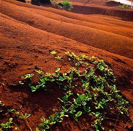 Focus：《战锤40K: 星际战士2》玩家数突破600万